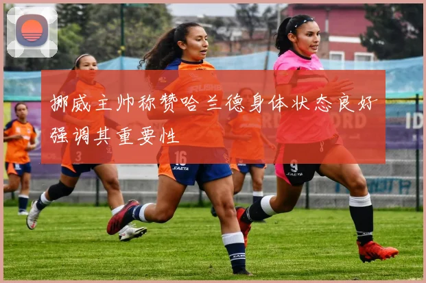 挪威主帅称赞哈兰德身体状态良好强调其重要性