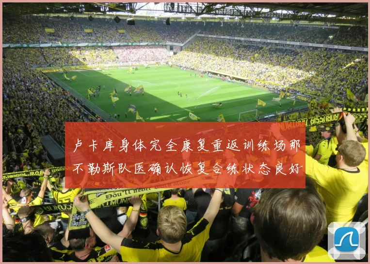 卢卡库身体完全康复重返训练场那不勒斯队医确认恢复合练状态良好